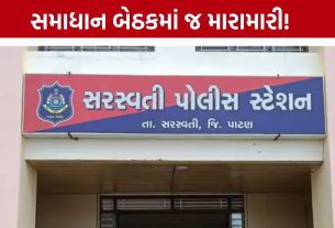 Sata Marriage Dispute: દીકરીને સાસરે મોકલવાની વાતે ઉશ્કેરાયા, પાટણમાં પિતા-પુત્ર પર લાકડી-ઈંટથી હુમલો