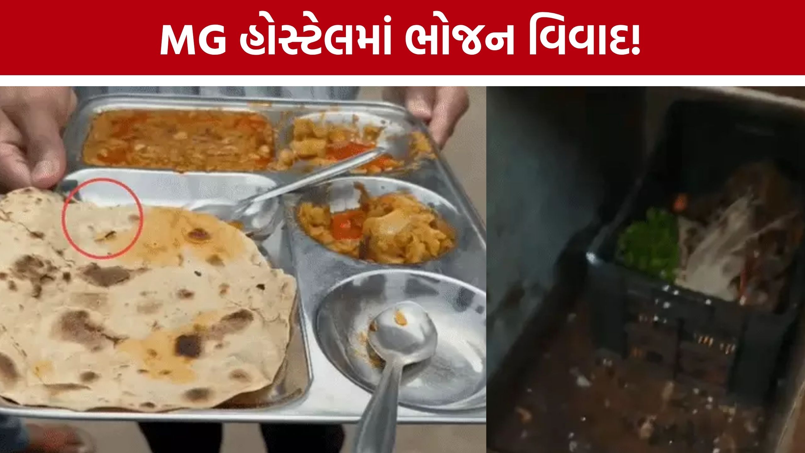 Rajkot MG Hostel Food Controversy: શાકમાંથી મરેલું જીવડું મળ્યું, સડેલા ડુંગળી-બટેટાના આક્ષેપથી વિદ્યાર્થીઓમાં રોષ