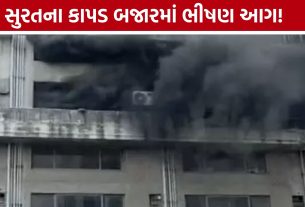 Surat Textile Market Fire: સુરતની સંગીની હબ-2 માર્કેટમાં આગ, કાપડના જથ્થાથી ધુમાડો ફેલાયો