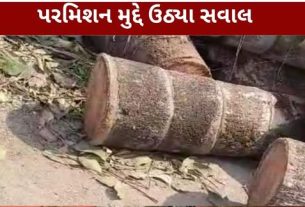 અમદાવાદના સાયન્સ સિટી (Science City)વિસ્તારમાં વૃક્ષ કાપવાનો વિવાદ (Tree Cutting Controversy) સામે આવ્યો છે