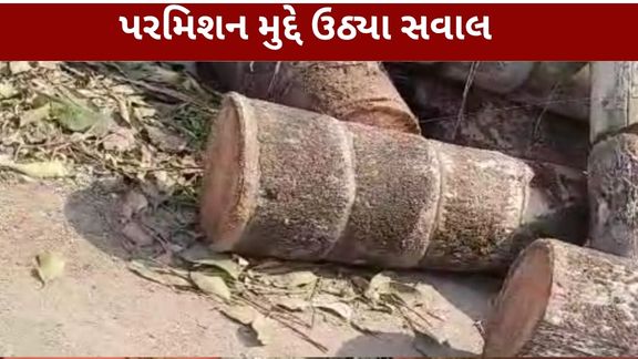 અમદાવાદના સાયન્સ સિટી (Science City)વિસ્તારમાં વૃક્ષ કાપવાનો વિવાદ (Tree Cutting Controversy) સામે આવ્યો છે