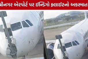 IndiGo Flight શ્રીનગર એરપોર્ટ પર પોલ સાથે અથડાઈ