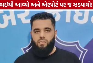 Surat Cyber Crime: દુબઈથી મુંબઈ ઉતરતાં જ સાયબર ફ્રોડનો આરોપી ઝડપાયો