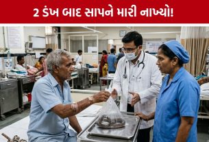 Surat Snake Bite: સાપે ડંખ માર્યો તો ગભરાયો નહીં, પહેલા સાપને માર્યો અને પછી 108થી હોસ્પિટલ પહોંચ્યો