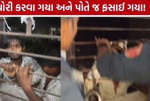 Surat Thieves: ચોરોને ફાયર વિભાગે બચાવ્યા, નીચે પોલીસ તૈયાર; સુરતની ઘટનાની ચર્ચા
