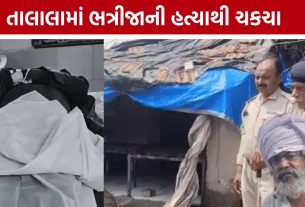 Talala Murder:તાલાલાના રાતિધાર ગામમાં 48 વર્ષીય પ્રવીણ સોલંકીની હત્યા
