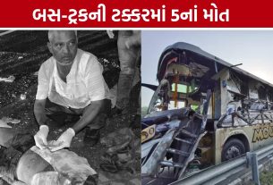 Vadodara Ahmedabad Express Highway Accident: સુરતથી રાજસ્થાન જતી બસનો ભયાનક અકસ્માત, 5 મુસાફરોના મોત
