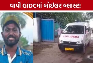Vapi GIDC Boiler Blast: બોઈલર બ્લાસ્ટમાં કામદારનું મોત, કંપની પર પરિવારજનોએ લગાવ્યો બેદરકારીનો આરોપ