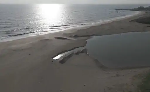 Chorwad Chemical Pollution