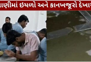જરાત વિદ્યાપીઠ (Gujarat Vidyapith)ની બોયઝ હોસ્ટેલમાં પણ વરસાદી પાણી ઘૂસી જતા વિદ્યાર્થીઓને ભારે હાલાકીનો સામનો કરવો પડ્યો હતો