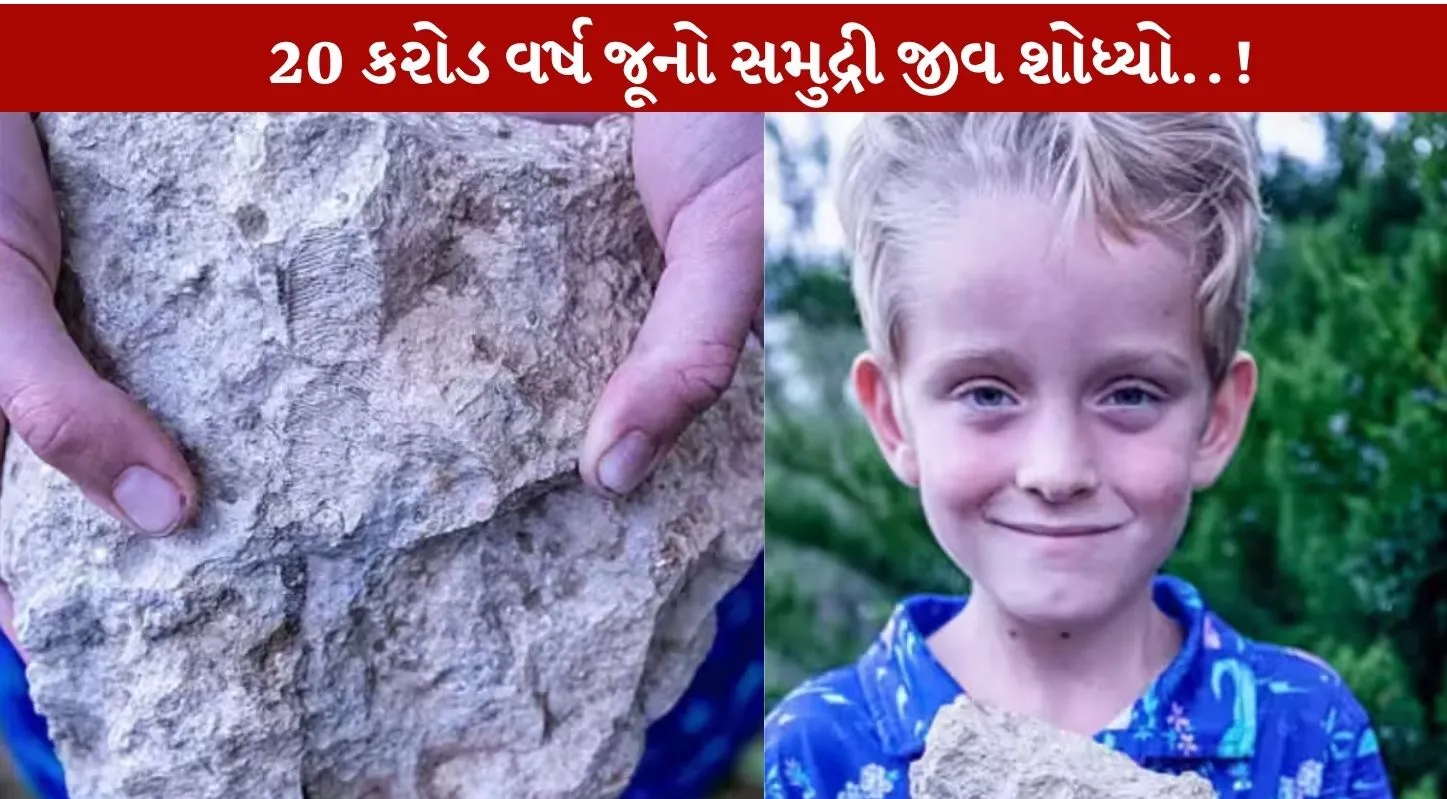 6 Year Child Fossil Explorer...અમેરિકાના નેબ્રાસ્કાનો Amazing કિસ્સો...મેમથથી પણ old fossil મળ્યું!