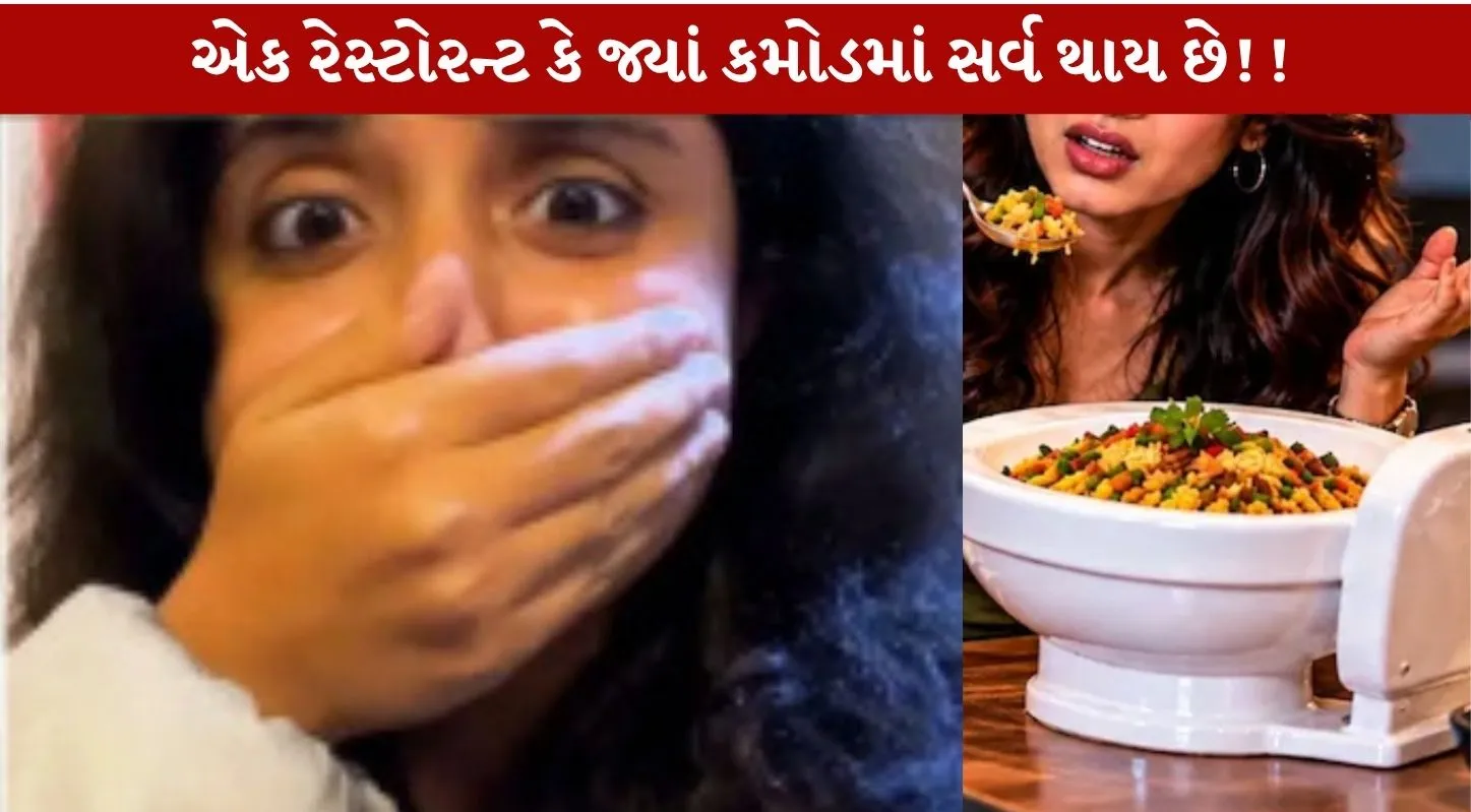 Aakanksha Monga Taiwan Video...એક વિચિત્ર રેસ્ટોરન્ટ જ્યાં કમોડમાં સર્વિંગ થાય છે! Shocking 2 theme!