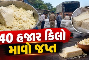 Ahmedabad Mava Raid: 40 હજાર કિલો શંકાસ્પદ માવો જપ્ત