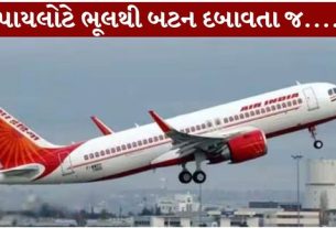 ફ્રેન્કફર્ટથી દિલ્હી આવી રહેલી એર ઇન્ડિયાની ફ્લાઇટમાં હાઇજેક એલર્ટ (Hijack Alert)મળતાં સુરક્ષા એજન્સીઓ સતર્ક થઈ ગઈ હતી