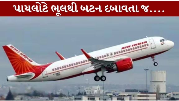 ફ્રેન્કફર્ટથી દિલ્હી આવી રહેલી એર ઇન્ડિયાની ફ્લાઇટમાં હાઇજેક એલર્ટ (Hijack Alert)મળતાં સુરક્ષા એજન્સીઓ સતર્ક થઈ ગઈ હતી
