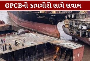 મેસર્સ આતમ મનોહર શિપ બ્રેકર્સ ખાતે જહાજમાંથી આશરે 567 મેટ્રિક ટન પેરેલાઈટ પાવડર (Alang Toxic Powder) મળી આવ્યો હોવાનો ઉલ્લેખ હોવાનું સામે આવ્યું છે