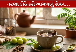 Amla Tea પીઓ અને powerful Health Benefits મેળવો...20 મિનિટમાં તૈયાર!