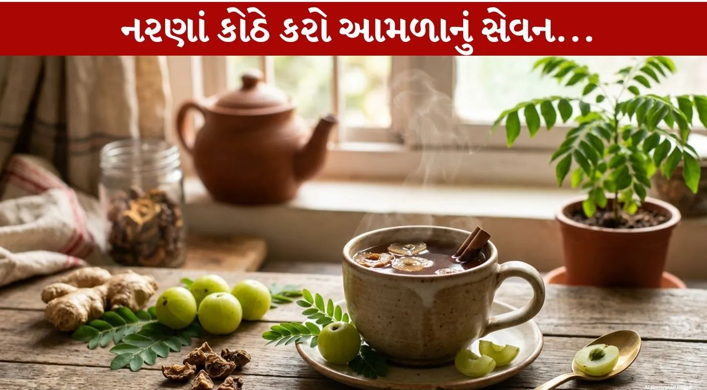 Amla Tea પીઓ અને powerful Health Benefits મેળવો...20 મિનિટમાં તૈયાર!