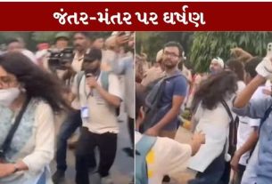 દિલ્હીના જંતર-મંતર (Jantar Mantar) ખાતે વિરોધ પ્રદર્શન દરમિયાન એક યુવતી અને પોલીસ વચ્ચેનો હાઈવોલ્ટેજ ડ્રામા ચર્ચામાં આવ્યો છે