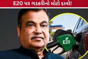 E20 Petrol વિવાદ: નીતિન ગડકરીનો મોટો દાવો, E100 ઇંધણને મંજૂરી