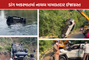 Dang Road Accident: 35 ફૂટ નીચે ખાપરી નદીમાં ખાબકી કાર