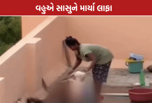 Surat Viral Video Case: સુરતમાં વૃદ્ધ સાસુ સાથે મારપીટ