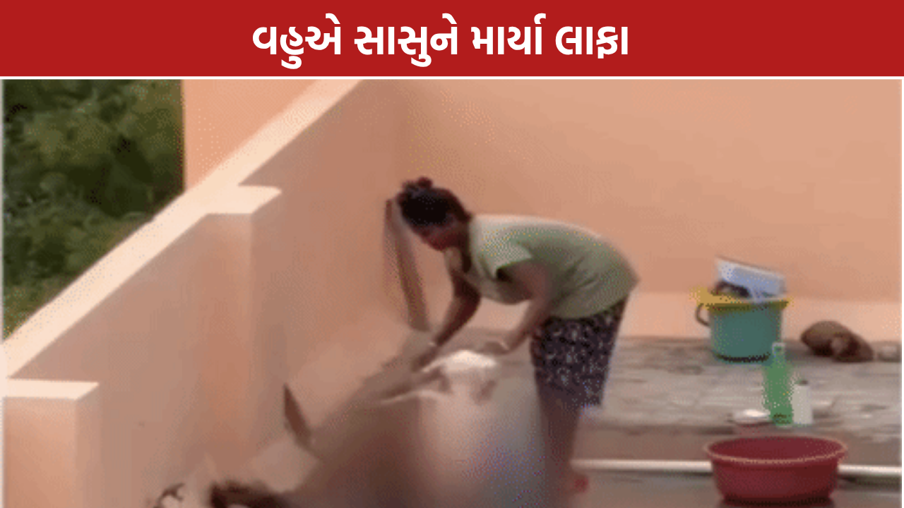 Surat Viral Video Case: સુરતમાં વૃદ્ધ સાસુ સાથે મારપીટ