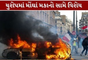 મકાનોની કિંમતોમાં સતત વધારો, (Europe Housing Crisis)ઊંચાં ભાડાં, ઓછા પગાર અને સરકારી સેવાઓમાં ઘટાડા જેવી સમસ્યાઓને કારણે અનેક દેશોમાં લોકો વિરોધ (Europe Protests)નોંધાવી રહ્યા છે