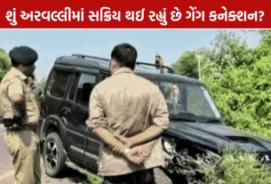 Aravalli Police Firing: પોલીસ અને આરોપીઓ વચ્ચે ફાયરિંગ, 500 કિલોથી વધુ પોશડોડા મળ્યાનો દાવો