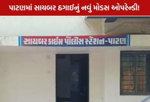 Patan Cyber Fraud: 2.58 કરોડથી વધુના સાયબર ફ્રોડનો પર્દાફાશ