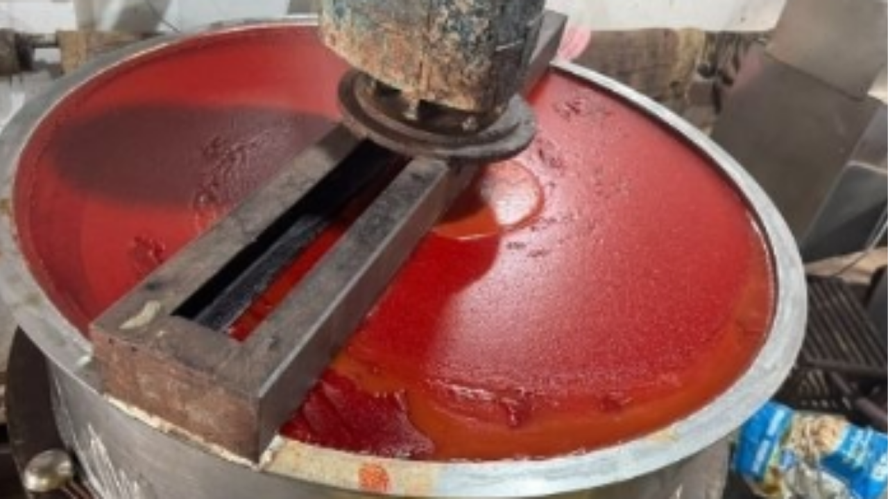 Fake Sauce Ahmedabad: અમદાવાદના ગોતામાંથી 10 ટન નકલી સોસ ઝડપાયો