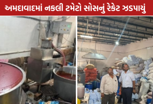 Fake Sauce Ahmedabad: અમદાવાદના ગોતામાંથી 10 ટન નકલી સોસ ઝડપાયો