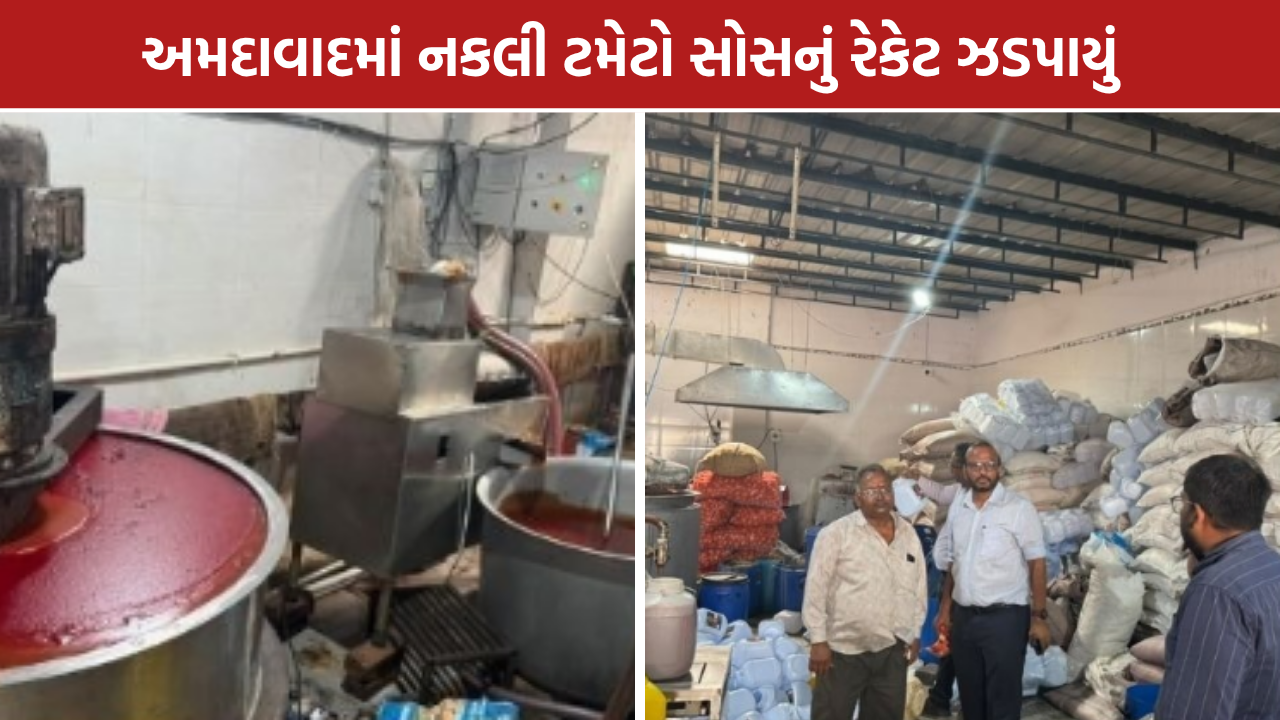 Fake Sauce Ahmedabad: અમદાવાદના ગોતામાંથી 10 ટન નકલી સોસ ઝડપાયો