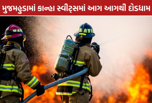 Vadodara Fire: વડોદરાના મુજમહુડામાં કાન્હા સ્વીટ્સમાં આગ, જાનહાનિ ટળી