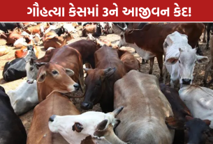 Gujarat Cow Slaughter Case: 3 દોષિતોને આજીવન કેદ