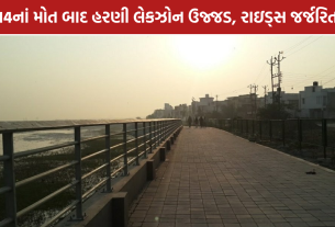 Harni Lake Vadodara: વડોદરાના હરણી તળાવની દુર્દશા, રાઇડ્સ બની ભંગાર