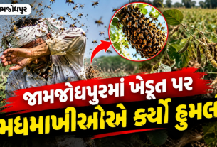 Jamjodhpur Farmer Death: જામજોધપુરમાં મધમાખીઓના હુમલાથી ખેડૂતનું મોત
