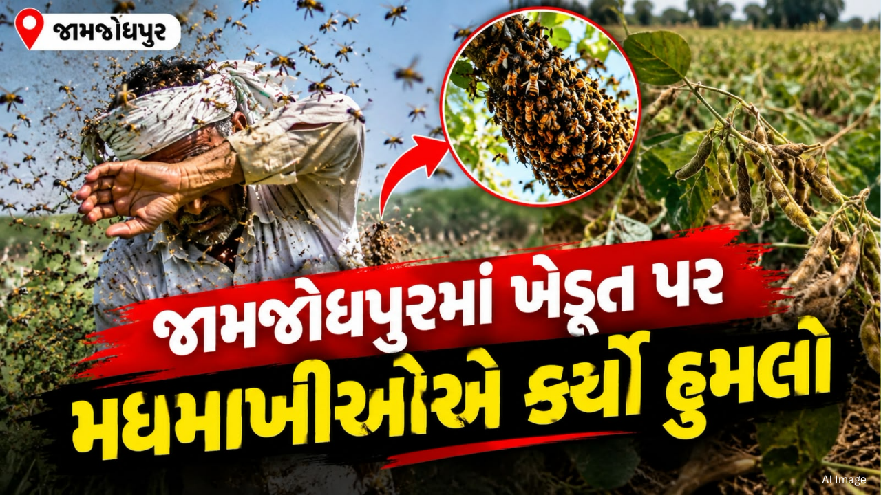 Jamjodhpur Farmer Death: જામજોધપુરમાં મધમાખીઓના હુમલાથી ખેડૂતનું મોત
