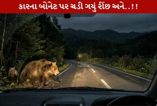 Japan Bhalu Video... જાપાનમાં Terrifying રીંછનો Attack! કારમાં 1 જબરદસ્ત કાણું પાડી દીધું!