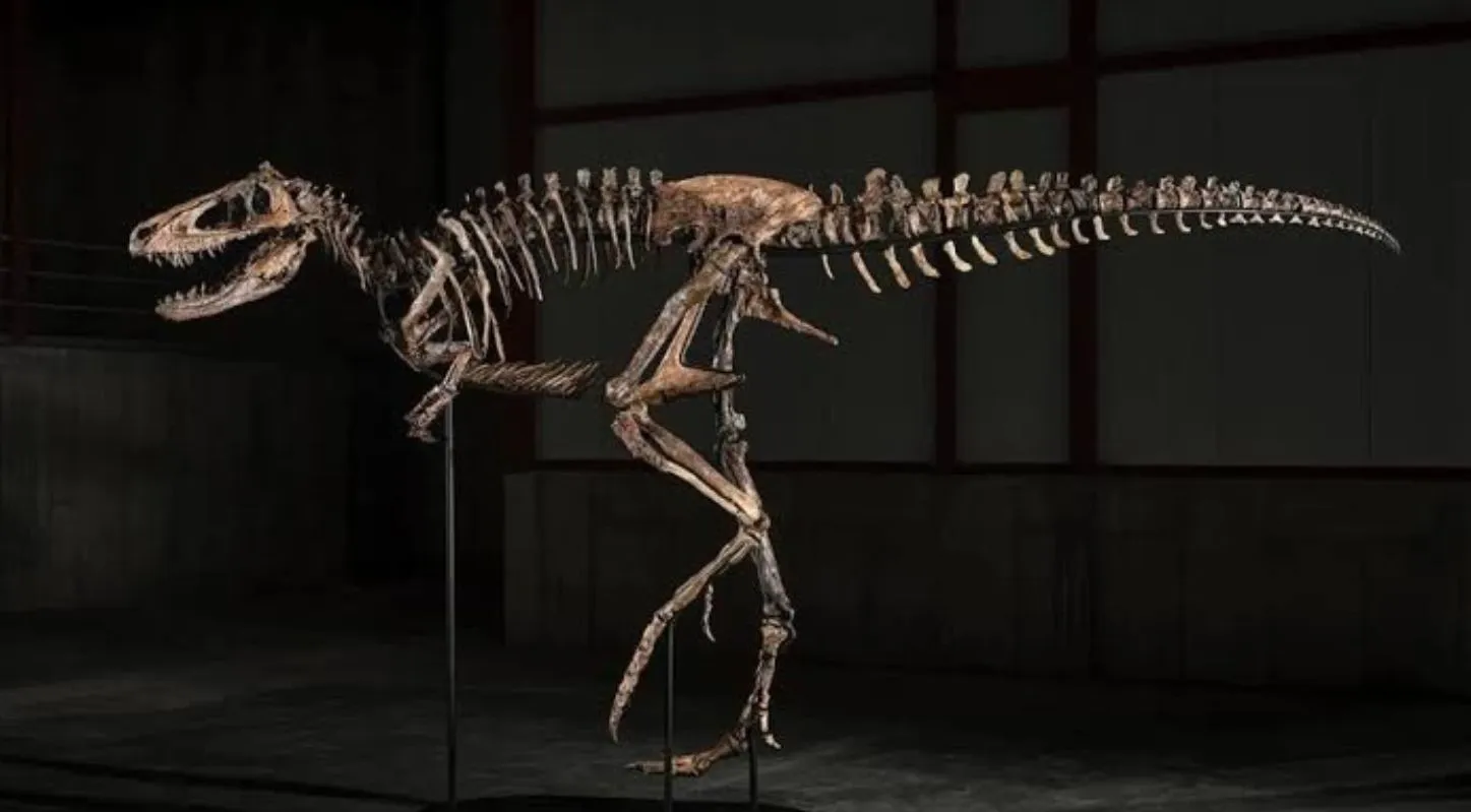 Jodi Dinasaur-જોડી પિયર્સન (Jody Pearson)ને પોતાની પ્રાઈવેટ લેન્ડ પર આ જીવાશ્મ મળ્યું હતુ.