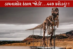 Jodi Dinosaur નું rare કંકાલ 449 કરોડ રુપિયામાં વેચાયું! જીવાશ્મ વિશ્વમાં Thrilling ઘટના!
