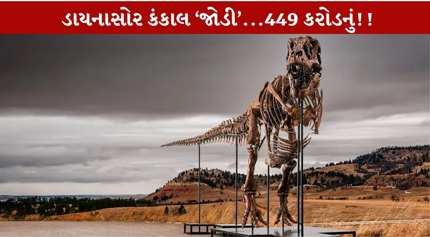 હરાજીમાં 449 કરોડમાં વેચાયું એક દુર્લભ ડાયનાસોરનું કંકાલ…ન્યુયોર્કમાં લાગી કરોડોની બોલી..!