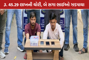 Kalupur Theft: રૂ. 45.29 લાખની ચોરી, બે સગા ભાઈઓ ઝડપાયા