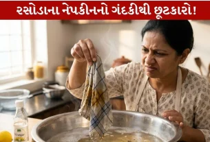 Kitchen Napkin Cleaning Tips...રસોડાના મેલાઘેલાં નેપકીનને કરો Clean...5 Powerful સ્ટેપ્સ જાણો!