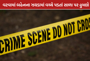 Vatva Knife Attack: અમદાવાદના વટવામાં સાળા પર બનેવીનો છરીથી હુમલો