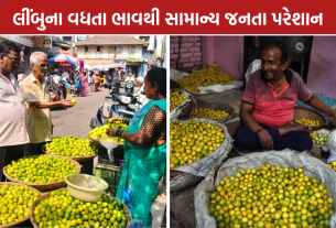 Lemon Price Hike: લીંબુના ભાવ ₹300 પ્રતિ કિલો, મોંઘવારીથી ગ્રાહકો પરેશાન