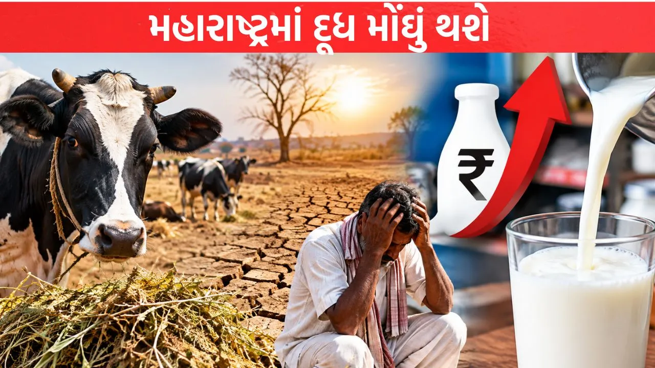 Maharashtra Milk will become expensive.