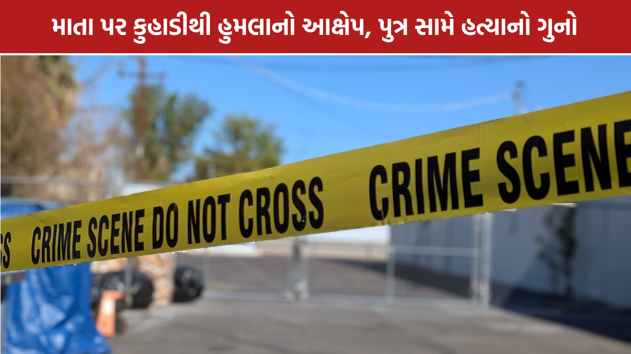 Narmada Crime News: ડેડિયાપાડામાં માતાની હત્યા, પુત્ર સામે ગુનો નોંધાયો