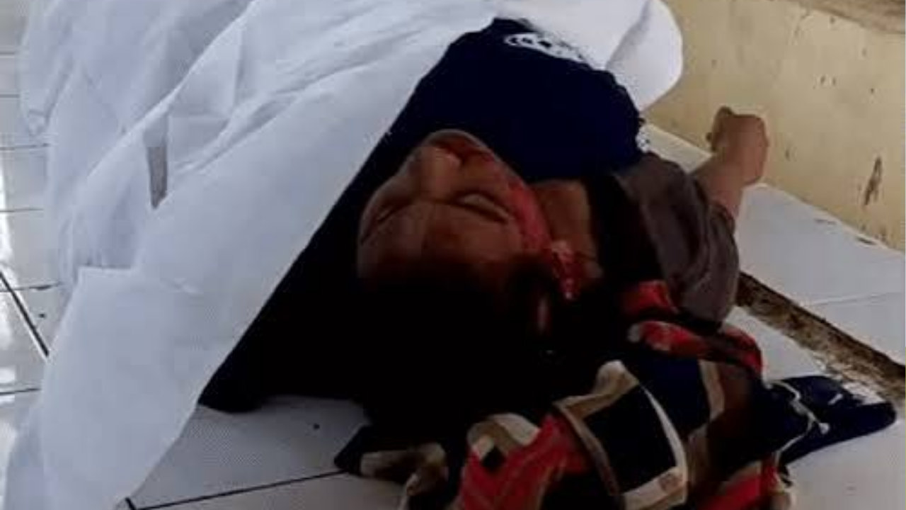 Una Veraval Road Accident: ટ્રકની ટક્કરે યુવતીનું મોત