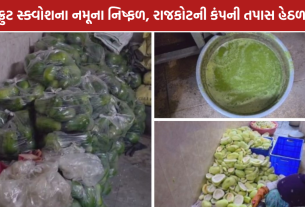 Rajkot Food Safety Raid: રાજકોટમાં ફ્રુટ સ્ક્વોશમાં ભેળસેળનો આક્ષેપ, RB ફૂડ પર કાર્યવાહી